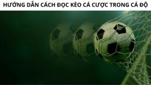 Cách tính fair odds mới nhất dành cho anh em tân thủ 3 Cách tính fair odds mới nhất 2024 cho anh em tân thủ