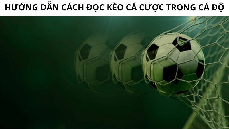 Cách tính fair odds mới nhất dành cho anh em tân thủ 3 Đọc kèo cá cược trong cách tính fair odds