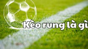 Kèo rung là gì? Cách chơi kèo rung cực hot đảm bảo hiệu quả 4 Kèo rung là gì? Cách chơi kèo rung cực hot đảm bảo hiệu quả