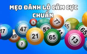 Lô câm là gì? Đầu câm nên đánh con gì để thắng cược? 4 Lô câm là gì? Đầu câm nên đánh con gì để thắng cược?